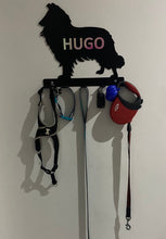 Load image into Gallery viewer, Large Personalised Rough Collie Dog Lead / Key Holder
